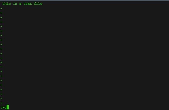 open/edit/close file in linux